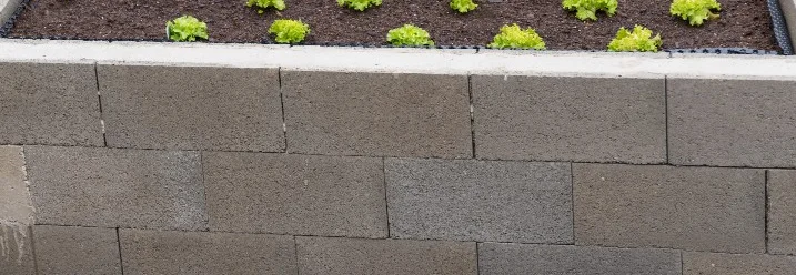 Hochbeet aus Beton mit Salatpflanzen